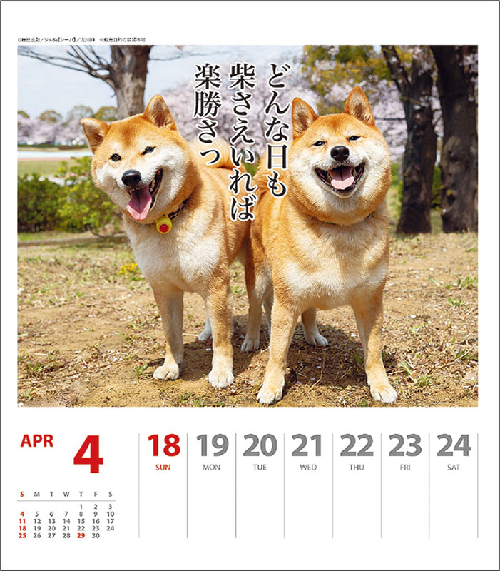 トライエックス 犬川柳 週めくり 21年カレンダー Cl 3