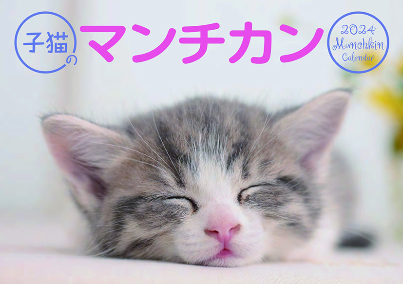 トライエックス 子猫のマンチカン 23年カレンダー Cl 3