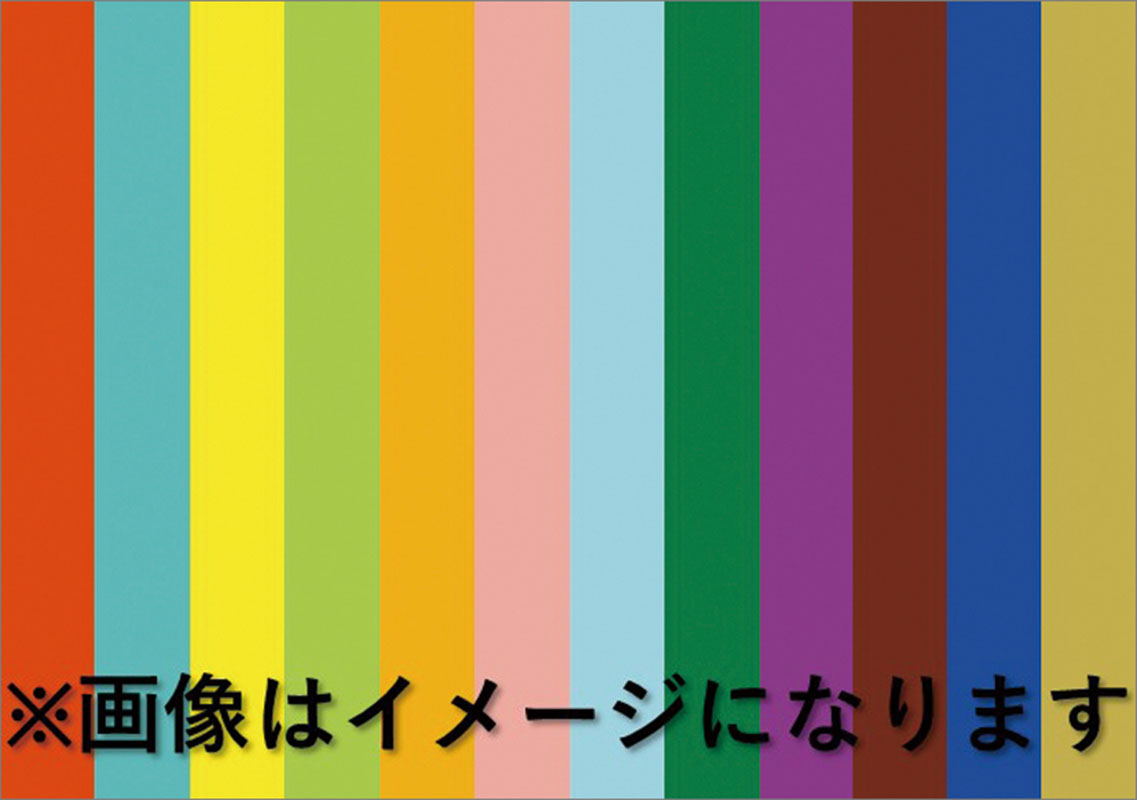 トライエックス / 卓上 月の満ち欠け 2024年カレンダー CL-681